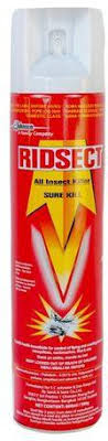 Ridsect All Insect Killer 100ml